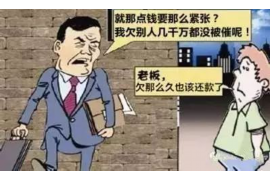 扶绥扶绥讨债公司服务